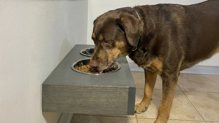 Customized Floating Pet Bowl by iirntree - 3