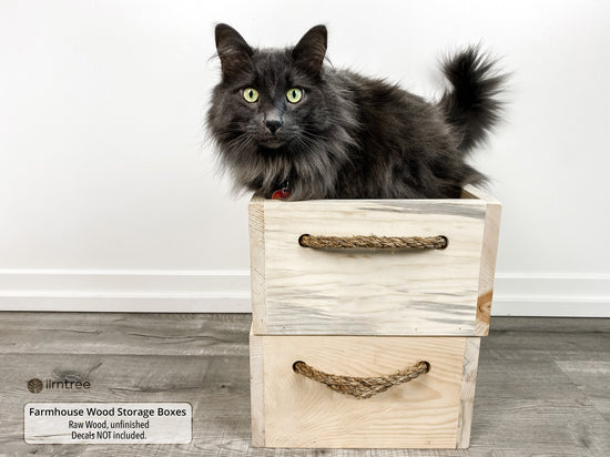 Customized Farmhouse Storage Box by iirntree - 5
