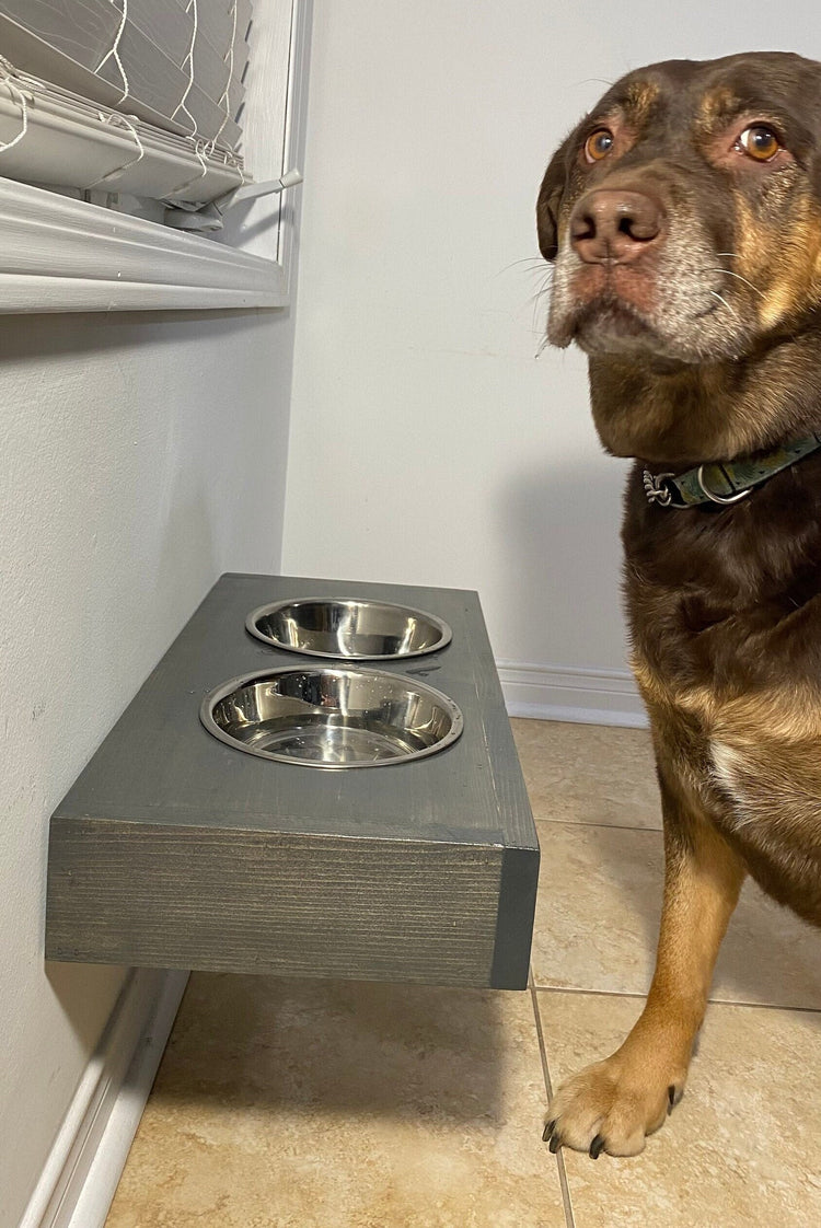 Customized Floating Pet Bowl by iirntree