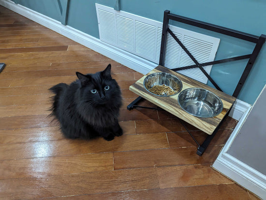 Customized Metal Adjustable Pet Bowl Unit by iirntree - 2