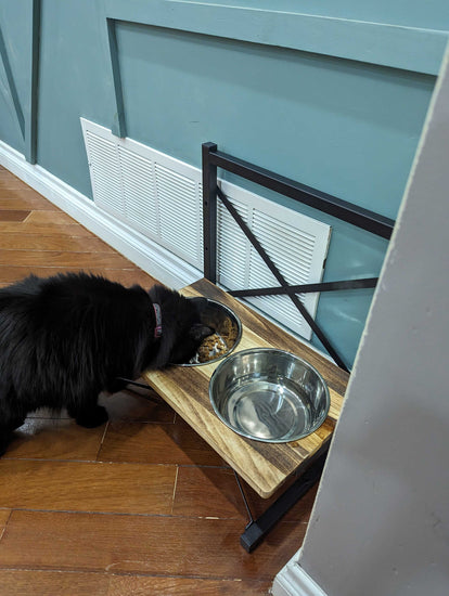 Customized Metal Adjustable Pet Bowl Unit by iirntree - 8
