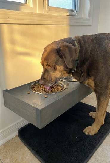 Customized Floating Pet Bowl by iirntree - 4