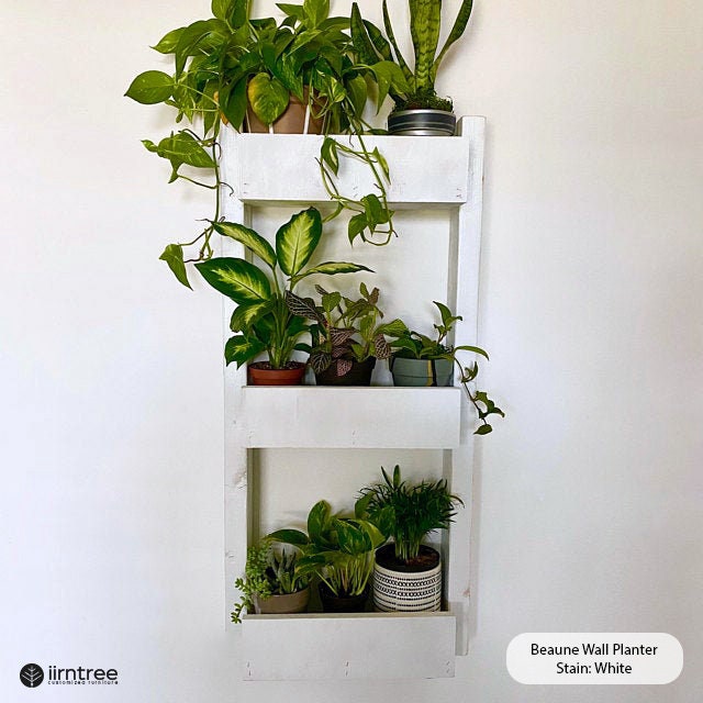 Wall Planter *FREE SHIPPING* - Plant Pots Now Available - Hanging Planter | Shelf Planter | Hanging Shelves | Wall Outdoor or Indoor Planter - iirntree